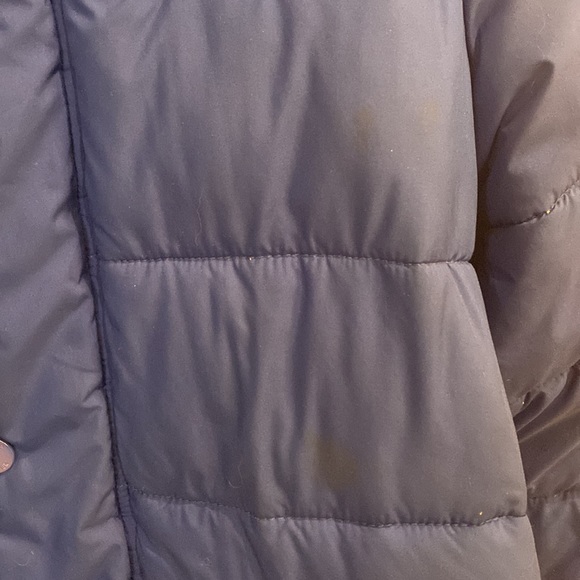 Men’s Royal Blue Hollister Puffy Winter Coat - Picture 4 of 5